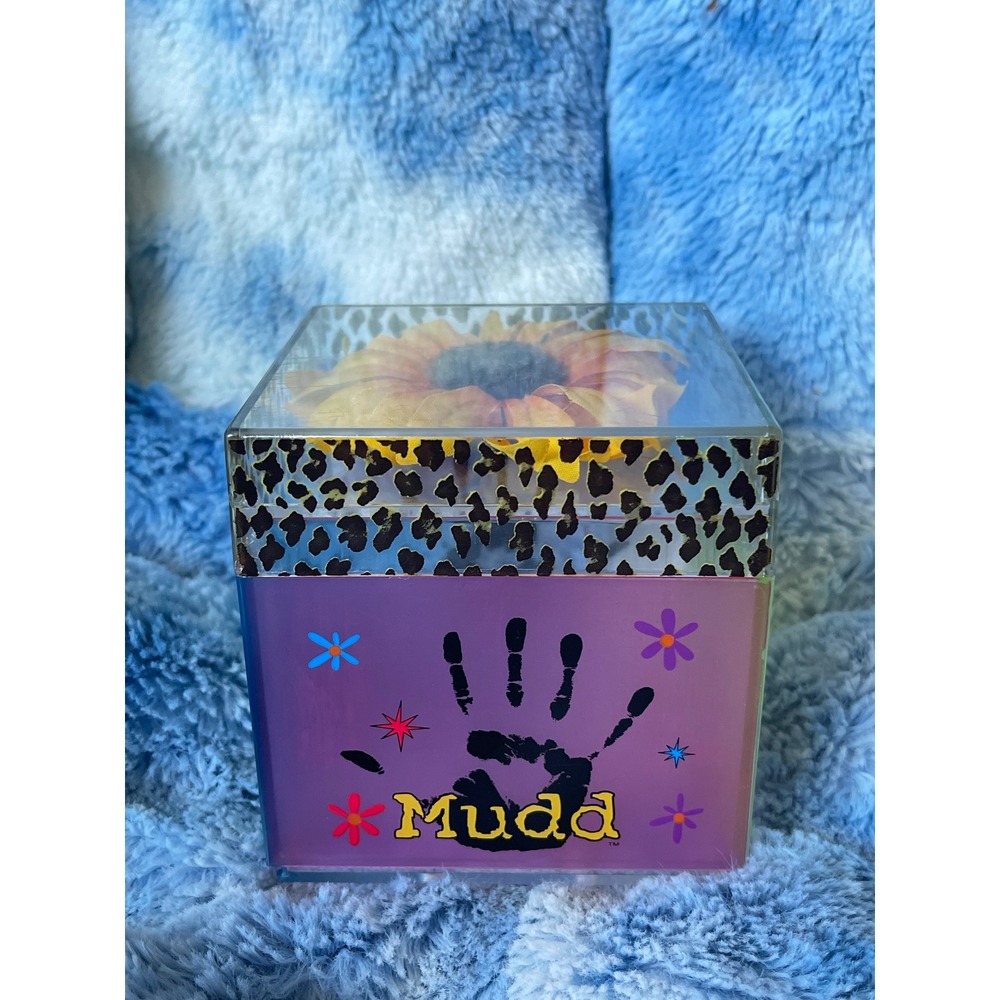 Vintage Mudd Acrylic Trinket Box Y2K Rainbow Leopard Sunflower Storage Decor
